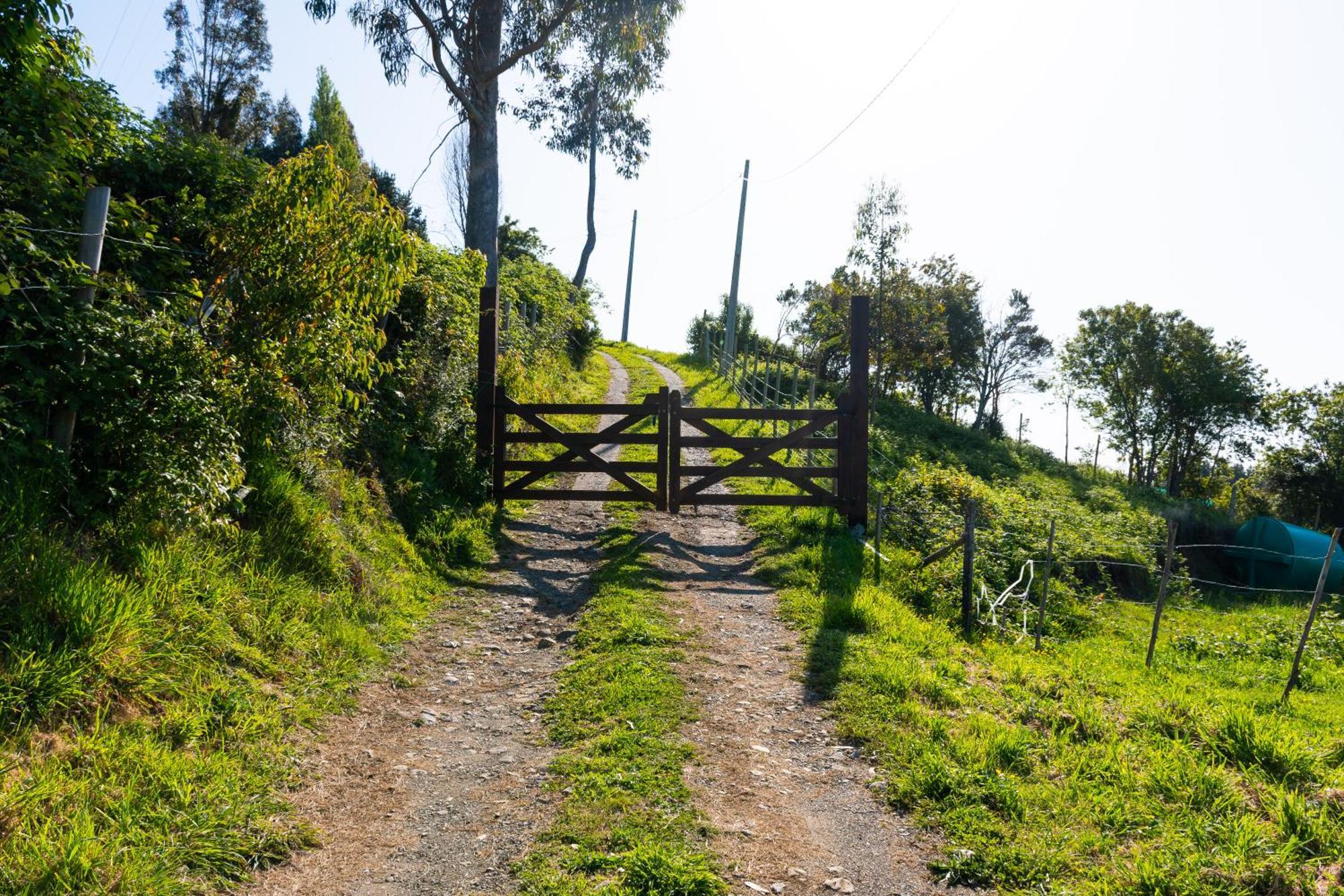 Cabanas Mirador Población Lago Ranco Εξωτερικό φωτογραφία